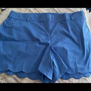 NWOT Lane Bryant Shorts (28)